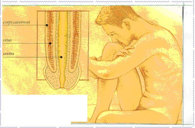 Medicina efficace per una potenzialità